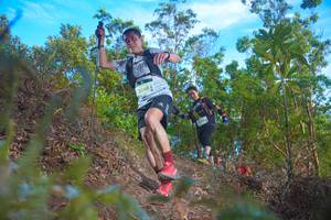 BIB: 2068
                            <button type="button" onclick="openModal(21834532)" class="btn btn-primary btn-sm float-right btn-popup" data-toggle="modal" data-target=".modal-high-quality">
                        <i class="fas fa-shopping-cart"></i> Add to Cart
                    </button>
                                            <button type="button" onclick="isThisMe(21834532, true)" class="btn btn-success btn-sm float-right btn-popup btn-isme hidden" data-toggle="tooltip" data-placement="bottom" title="นี่คือรูปของคุณใช่ไหม คลิกที่นี่เพื่อเอาเข้าอัลบั้ม">
                        <i class="fas fa-plus"></i> Add to album
                    </button>
                    <button type="button" onclick="isThisMe(21834532, false)" class="btn btn-warning btn-sm float-right btn-popup btn-isnotme hidden">
                        <i class="fas fa-ban"></i> Remove from album
                    </button>